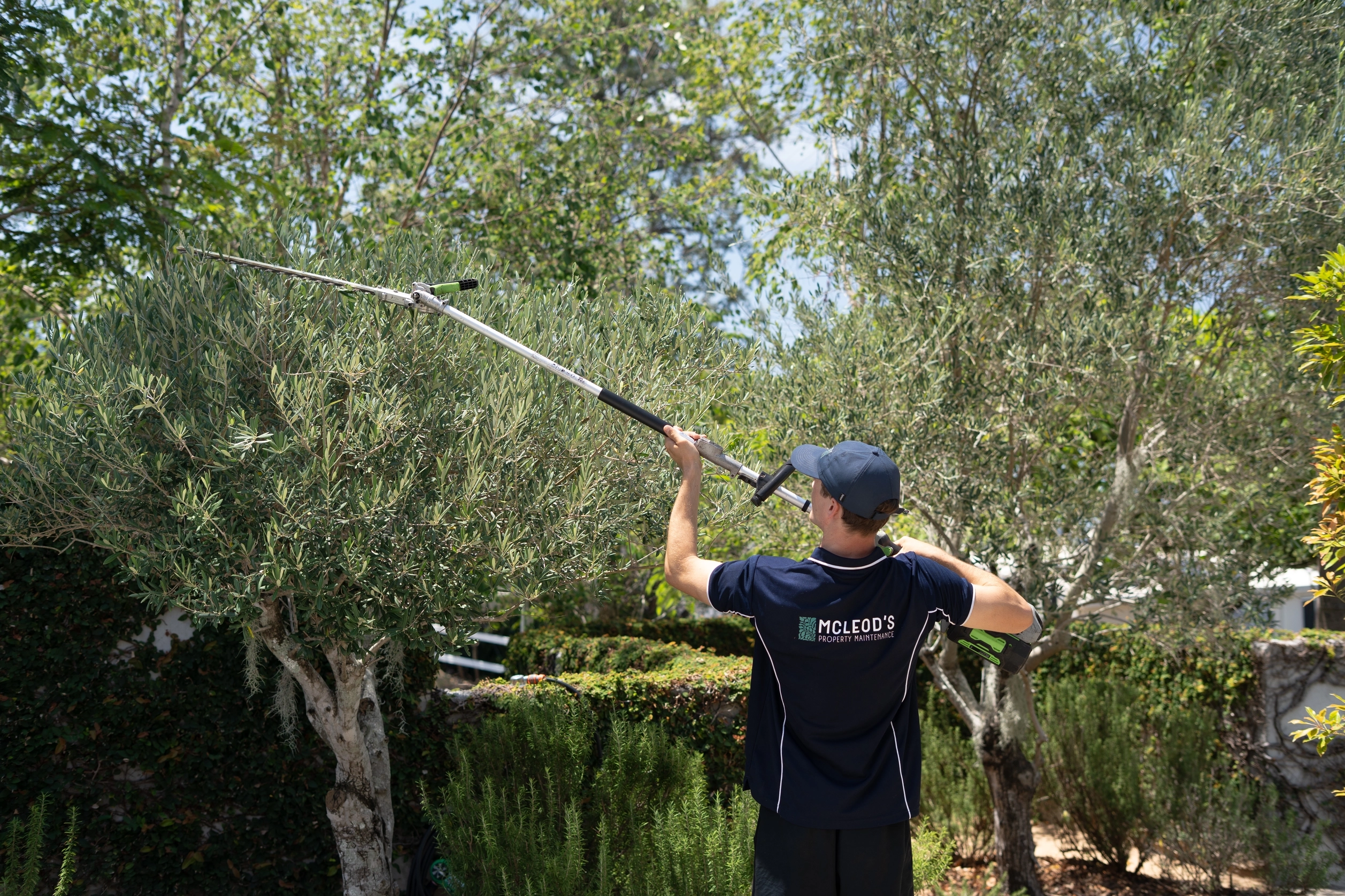 Lawn maintenance &mdash; McLeod's Property Maintenance